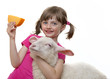 Foto: little girl with a sheep and a cheese little girl with a sheep and a cheese