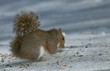 Foto: Looking away Looking away