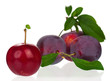 Red plums