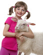 little girl with sheep