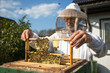 Beekeeper caring for bee colony