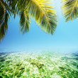 Photo: Tropical sea. Square composition. Tropical sea. Square composition.