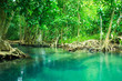 Khlong Song Nam clear tropical stream,Krabi,Thailand 