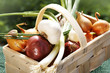 Korb mit Zwiebeln, Knoblauch, Frühlingszwiebeln