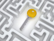 Key to labyrinth