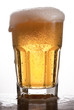 Mug of Beer