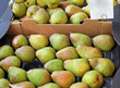 Organic pears