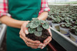 Photo: Garden center worker holding plant about to tbe potted Garden center worker holding plant about to tbe potted