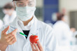 Foto: Student injecting tomato in the laboratory Student injecting tomato in the laboratory