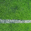 soccer field.