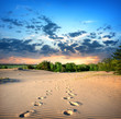 Footprints in the sand