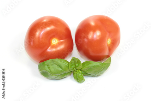 Photo: basilic basilic