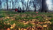 Happy familly at picnic, time lapse
