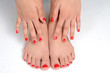 Photo: Nail Polish Nail Polish