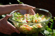 bowl of salad