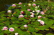 Aménagement bassin