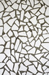 Wall tiled