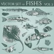 vintage illustrations of fishes & shells vol. 2