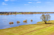 Photo: Vistula river scenery with single tree, Poland Vistula river scenery with single tree, Poland