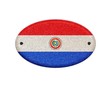 Illustrazione: Wooden sign of Paraguay. Wooden sign of Paraguay.
