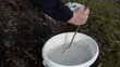 man prepare fruit tree whiting whitewash fluid protect pest