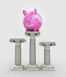 best value of your money concept with pig