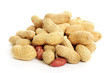 Peanuts isolated