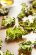 Homemade Organic Green Kale Chips