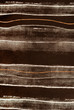 fabric texture background