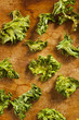 Homemade Organic Green Kale Chips