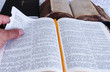 studying the Bible