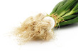 fond botte de petits oignons blancs