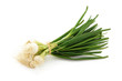 botte de petits oignons blancs 1
