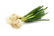 botte de petits oignons blancs 2