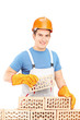 Foto: Male manual worker building a brick wall Male manual worker building a brick wall