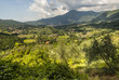 Landscape near Camaiore (Tuscany)