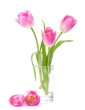 Pink tulips bouquet in vase isolated on white background