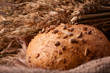 Foto: Loaf of bread and wheat ears still life Loaf of bread and wheat ears still life