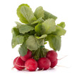 Photo: Small garden radish with leaves Small garden radish with leaves