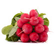 Photo: Small garden radish with leaves Small garden radish with leaves