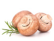 Photo: Brown champignon mushroom and rosemary leaves Brown champignon mushroom and rosemary leaves