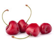 Foto: Heart shaped cherry berries Heart shaped cherry berries