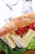 Cheese sub sandwich