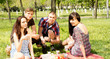 College friends having a picnic in the park