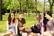 Two teenage couples having a picnic