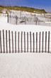 Sand Dunes and Fence at the Beach