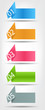 Concept of colorful origami for different business design. Vect
