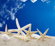 Gute Reise: Urlaub am Meer  :)