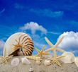 canvas print picture - Gute Reise: Urlaub am Strand