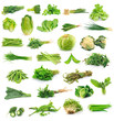 Vegetables collection isolated on white background